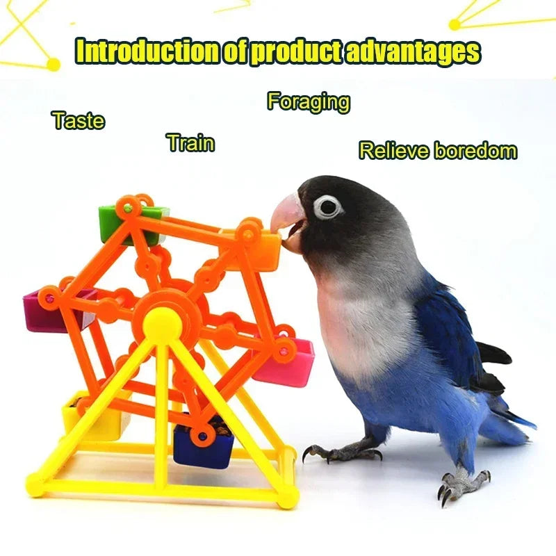 Foraging Creative Parrot Feeder Rotate Training Toys Intelligence Growth