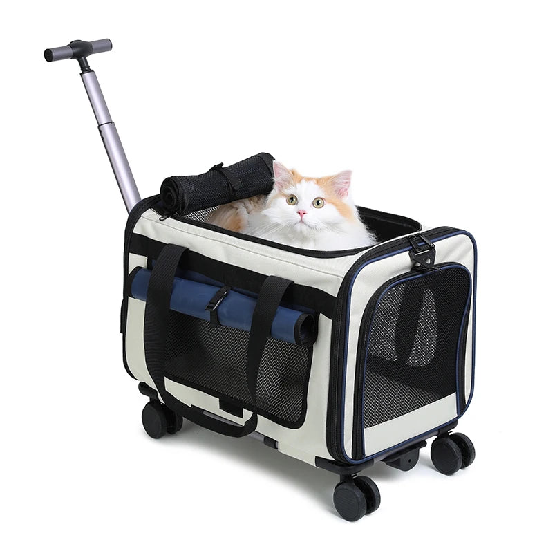 Extra Large Portable Detachable Trolley Case