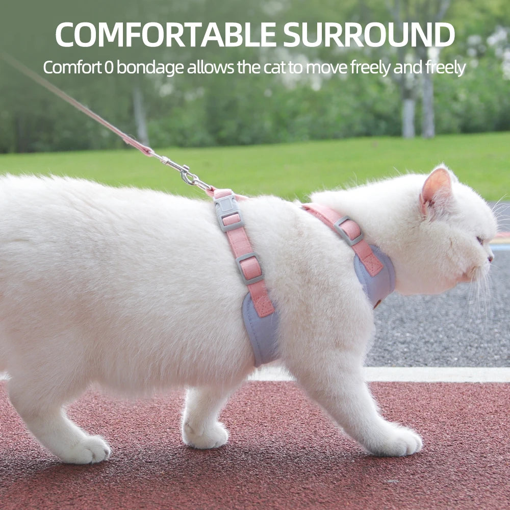 Cat or Puppy Outdoor Walking  Harness and Leash Kitten Harnesses