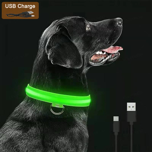 3 Modes Luminous Charge Collar Led USB Detachable