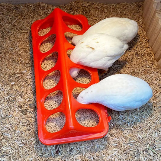 Poultry Thickened Feeder And Drinker