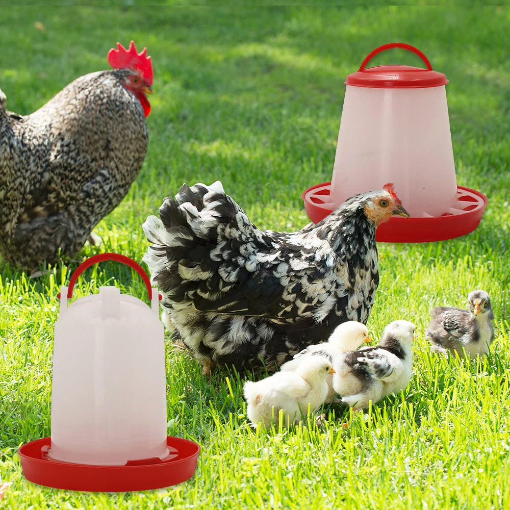 Chicken Poultry Feeder And Waterer Dispenser Automatic
