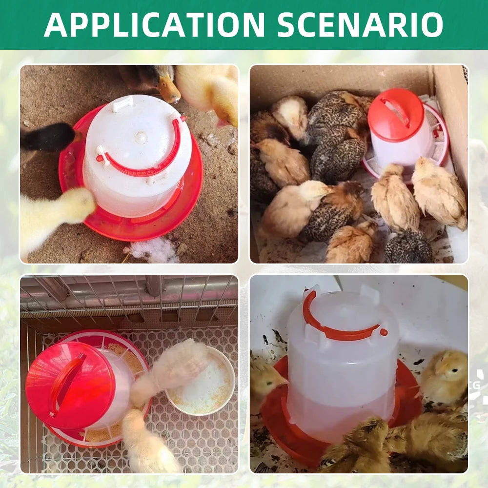 Chicken Poultry Feeder And Waterer Dispenser Automatic