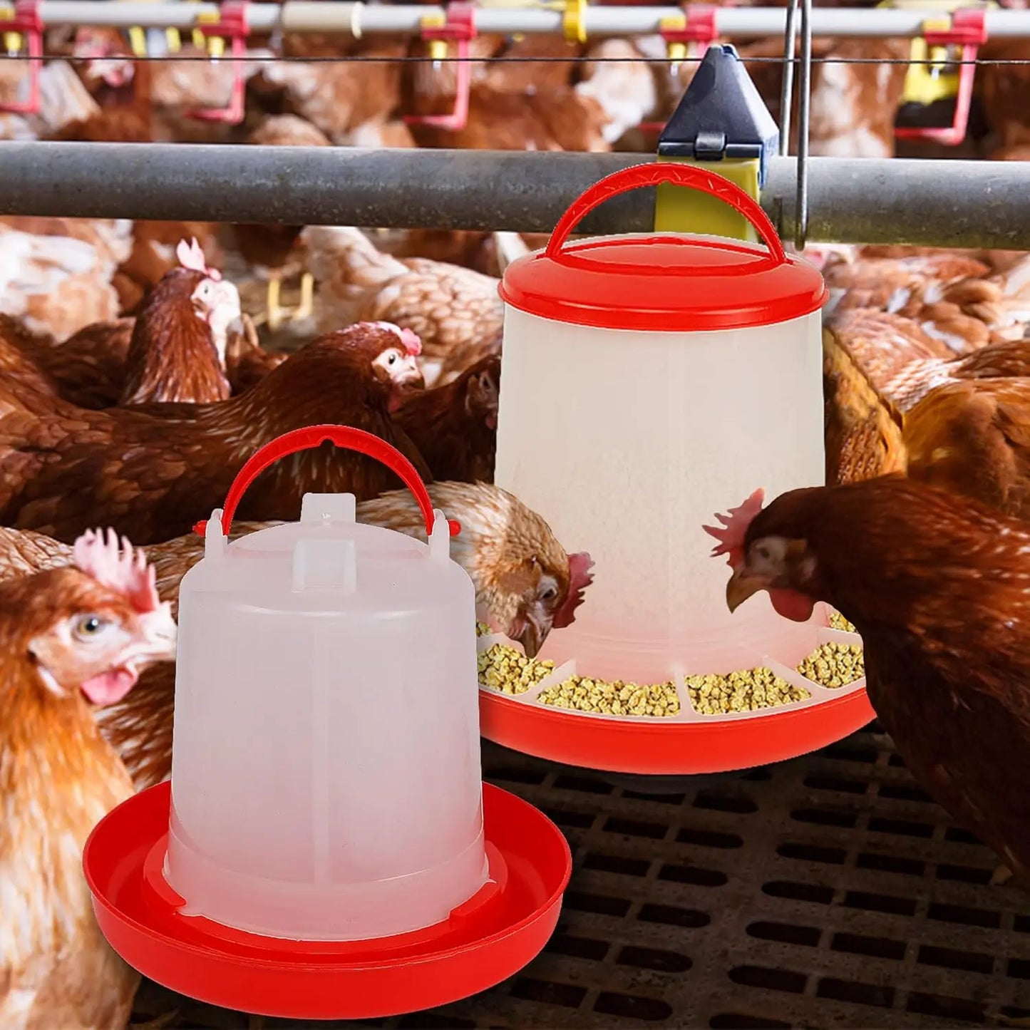 Chicken Poultry Feeder And Waterer Dispenser Automatic