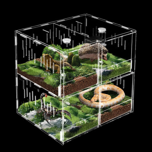 Clear 4 Grids Breeding Box Lizard Insect Climbing Spider Snake