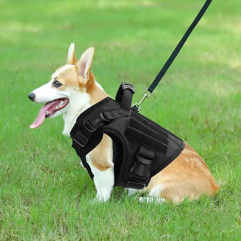 Medium, large tactical nylon water-repellent training harness explosion-proof