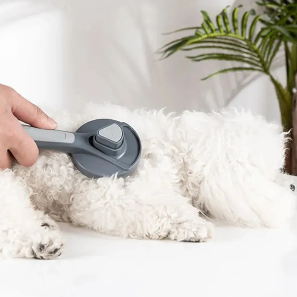 Dog - Cat Comb, Self Cleaning Brush with Curved Needle Teeth