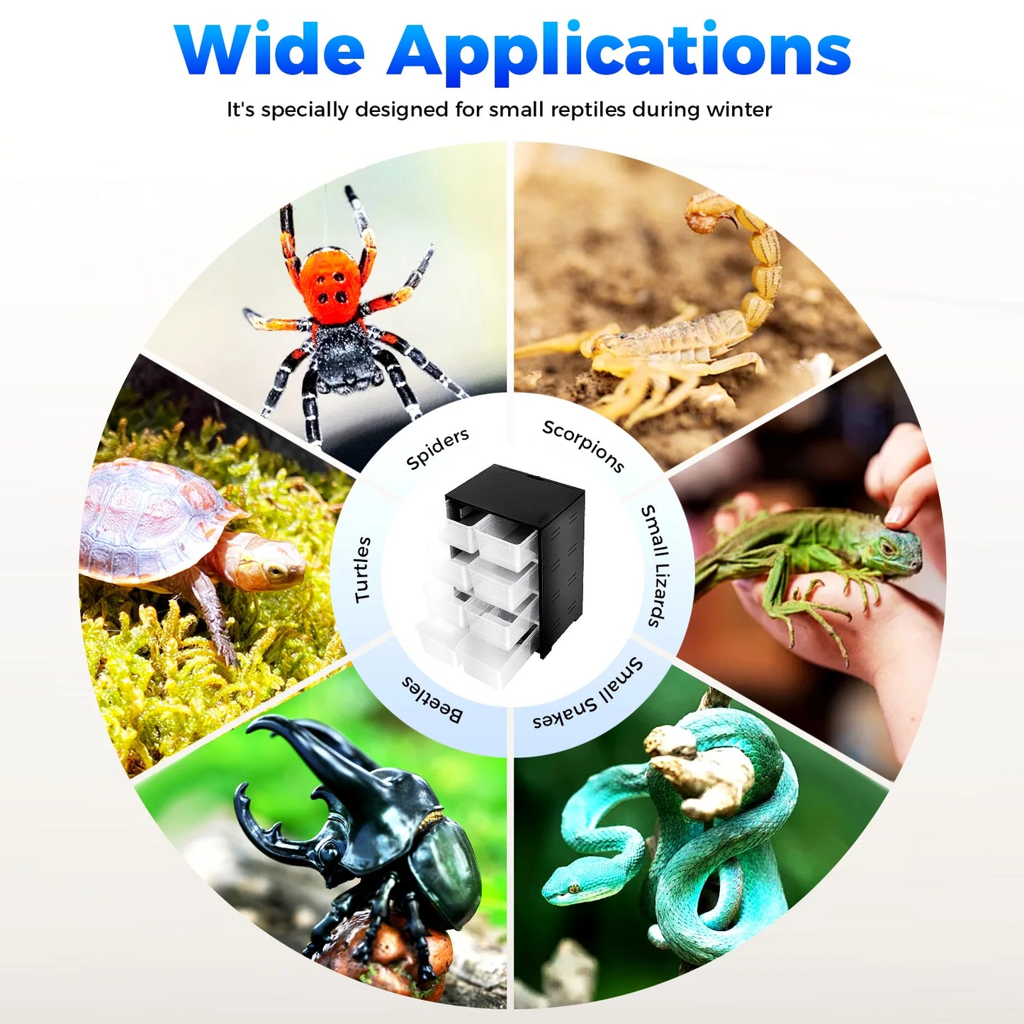 Large Acrylic Feeder, Breeding Tank, Ventilation, Insect Spider, Turtle, Lizard